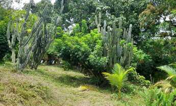 Imagem: Sítio para Venda em Itaboraí, Sambaetiba