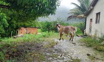 Imagem 4: Fazenda para Venda em Rio Bonito, Sambé, 2 dormitórios, 1 banheiro