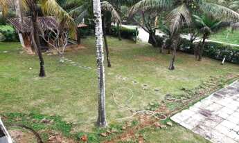 Imagem 7: Sítio para Venda em Cachoeiras de Macacu, Agro Brasil, 4 dormitórios, 1 suíte, 2 banheiros