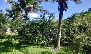 Imagem 4: Sítio para Venda em Cachoeiras de Macacu, Boca do Mato, 2 dormitórios, 1 suíte, 1 banheiro
