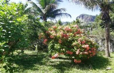 Imagem 2: Sítio para Venda em Cachoeiras de Macacu, Boca do Mato, 2 dormitórios, 1 suíte, 1 banheiro