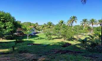 Imagem: Sítio para Venda em Itaboraí, Perobas