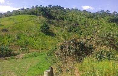 Imagem 3: Sítio para Venda em Cachoeiras de Macacu, Vecchi, 3 dormitórios, 1 banheiro, 1 vaga