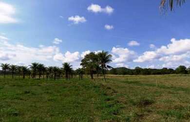 Imagem 3: Sítio para Venda em Cachoeiras de Macacu, Vecchi, 3 dormitórios, 2 suítes, 2 banheiros, 2