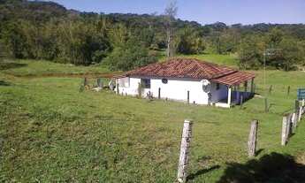 Imagem 4: Sítio para Venda em Cachoeiras de Macacu, Maraporã, 3 dormitórios, 1 suíte, 1 banheiro, 2