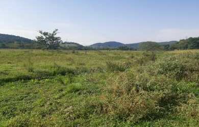Imagem 5: Sítio para Venda em Cachoeiras de Macacu, Quizanga, 3 dormitórios, 1 banheiro, 1 vaga