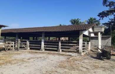 Imagem 6: Sítio para Venda em Cachoeiras de Macacu, Quizanga, 3 dormitórios, 1 banheiro, 1 vaga