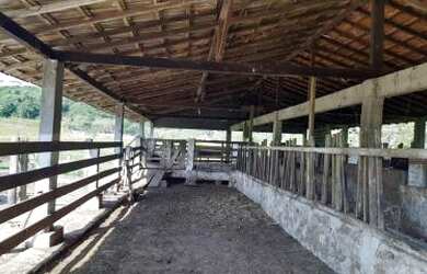 Imagem 2: Sítio para Venda em Cachoeiras de Macacu, Quizanga, 3 dormitórios, 1 banheiro, 1 vaga
