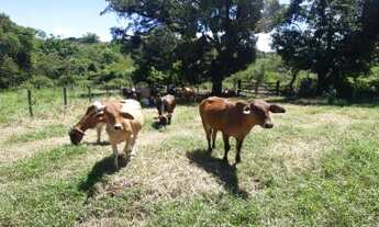 Imagem 1: Sítio para Venda em Cachoeiras de Macacu, Vecchi, 2 dormitórios, 1 banheiro, 1 vaga