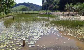 Imagem 7: Sítio para Venda em Cachoeiras de Macacu, Vecchi, 2 dormitórios, 1 banheiro, 1 vaga