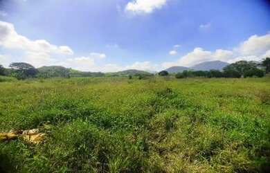Imagem 6: Sítio para Venda em Cachoeiras de Macacu, Papucaia, 3 dormitórios, 1 banheiro, 2 vagas
