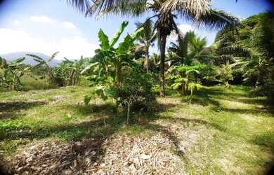 Imagem 7: Sítio para Venda em Cachoeiras de Macacu, Papucaia, 3 dormitórios, 1 banheiro, 2 vagas