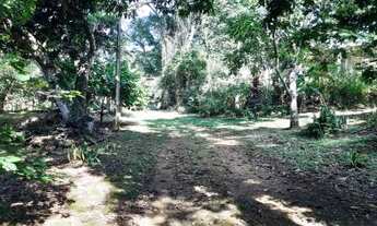 Imagem 5: Sítio para Venda em Cachoeiras de Macacu, Vecchi, 2 dormitórios, 1 suíte, 1 banheiro, 1 va
