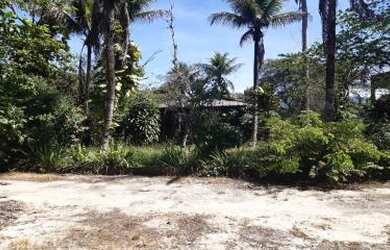 Imagem 3: Sítio para Venda em Cachoeiras de Macacu, Quizanga, 3 dormitórios, 1 banheiro, 2 vagas