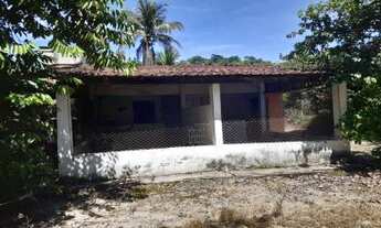 Imagem 5: Sítio para Venda em Cachoeiras de Macacu, Quizanga, 3 dormitórios, 1 banheiro, 2 vagas