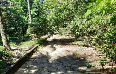 Imagem 6: Sítio para Venda em Cachoeiras de Macacu, Quizanga, 3 dormitórios, 1 banheiro, 2 vagas