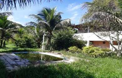 Imagem 2: Sítio para Venda em Cachoeiras de Macacu, Quizanga, 3 dormitórios, 1 banheiro, 2 vagas