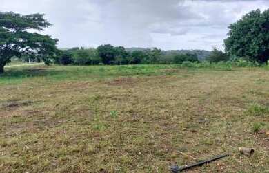 Imagem 7: Sítio para Venda em Cachoeiras de Macacu, Guapiaçu, 3 dormitórios, 1 suíte, 2 banheiros, 2