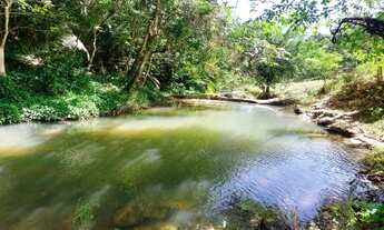 Imagem 4: Sítio para Venda em Rio Bonito, Basílio, 3 dormitórios, 2 banheiros, 1 vaga