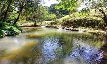 Imagem: Sítio para Venda em Rio Bonito, Basílio
