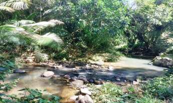 Imagem 5: Sítio para Venda em Rio Bonito, Basílio, 3 dormitórios, 2 banheiros, 1 vaga