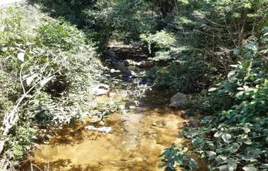 Imagem 5: Sítio para Venda em Cachoeiras de Macacu, Japuíba, 1 dormitório, 1 banheiro, 1 vaga