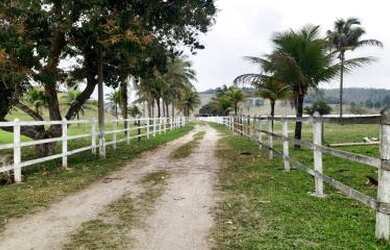 Imagem 5: Sítio para Venda em Cachoeiras de Macacu, Papucaia, 3 dormitórios, 2 suítes, 1 banheiro, 1