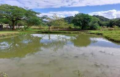 Imagem 2: Sítio para Venda em Cachoeiras de Macacu, Vecchi, 4 dormitórios, 2 banheiros, 2 vagas
