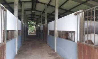 Imagem 4: Sítio para Venda em Itaboraí, Itapacorá, 2 dormitórios, 1 banheiro, 1 vaga