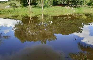Imagem 3: Sítio para Venda em Cachoeiras de Macacu, Vecchi, 2 dormitórios, 1 suíte, 1 banheiro, 1 va