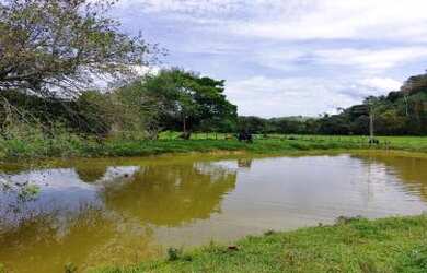 Imagem 4: Sítio para Venda em Cachoeiras de Macacu, Marubaí, 3 dormitórios, 2 suítes, 1 banheiro, 2