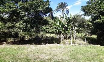 Imagem 6: Sítio para Venda em Cachoeiras de Macacu, Quizanga, 2 dormitórios, 1 banheiro, 1 vaga