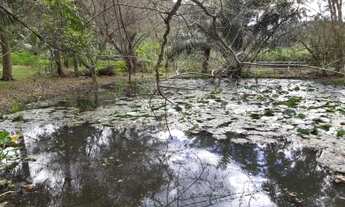 Imagem 4: Sítio para Venda em Cachoeiras de Macacu, Papucaia, 3 dormitórios, 1 suíte, 1 banheiro, 1