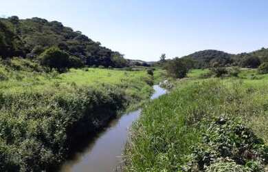 Imagem 4: Fazenda para Venda em Cachoeiras de Macacu, Vecchi, 6 dormitórios, 2 suítes, 2 banheiros