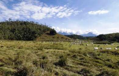Imagem 2: Fazenda para Venda em Cachoeiras de Macacu, Vecchi, 3 dormitórios, 2 banheiros, 1 vaga