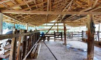 Imagem 5: Fazenda para Venda em Cantagalo, Cantagalo, 3 dormitórios, 1 banheiro, 1 vaga