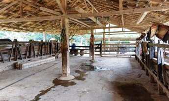 Imagem 6: Fazenda para Venda em Cantagalo, Cantagalo, 3 dormitórios, 1 banheiro, 1 vaga