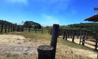 Imagem 5: Fazenda para Venda em Rio Bonito, Boa Esperança, 2 dormitórios, 1 banheiro, 1 vaga