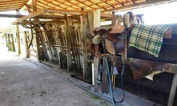 Imagem 7: Fazenda para Venda em Rio Bonito, Boa Esperança, 2 dormitórios, 1 banheiro, 1 vaga