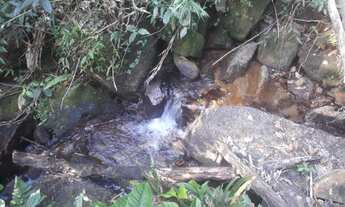 Imagem 7: Sítio para Venda em Rio Bonito, Braçanã, 1 dormitório