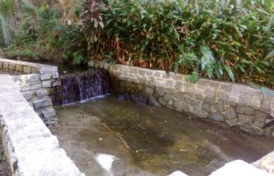 Imagem 5: Sítio para Venda em Cachoeiras de Macacu, Japuíba, 4 dormitórios, 1 suíte, 2 banheiros, 2