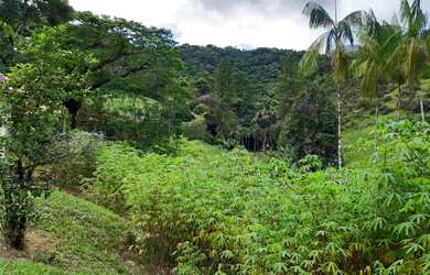 Imagem 6: Sítio para Venda em Cachoeiras de Macacu, Guapiaçu, 3 dormitórios, 1 suíte, 1 banheiro, 1