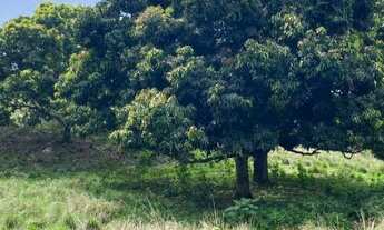 Imagem 3: Terreno para Venda em Itaboraí, Curuzu