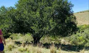 Imagem 6: Terreno para Venda em Itaboraí, Curuzu