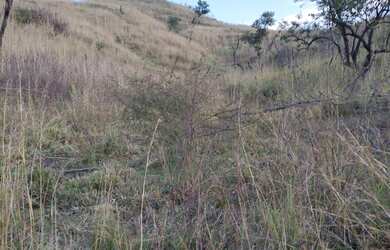 Imagem 3: Terreno para Venda em Tanguá, Duques