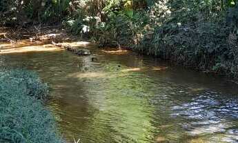 Imagem 4: Sítio para Venda em Silva Jardim, Bananeiras, 2 dormitórios, 1 banheiro, 1 vaga