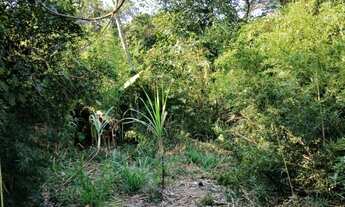 Imagem 5: Sítio para Venda em Silva Jardim, Mato Alto, 1 dormitório, 1 banheiro
