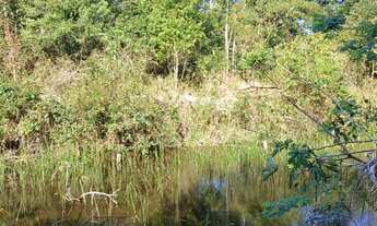 Imagem 2: Sítio para Venda em Silva Jardim, Mato Alto, 1 dormitório, 1 banheiro