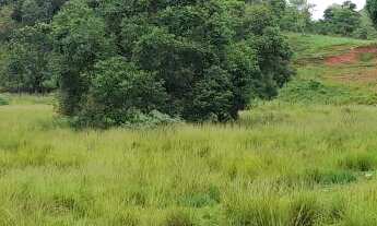 Imagem 2: Terreno para Venda em Rio Bonito, Chavão