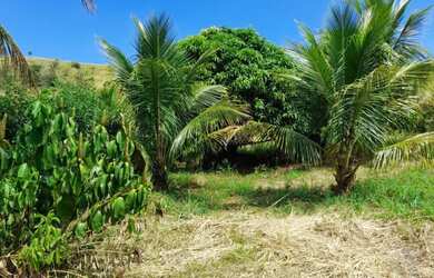 Imagem 2: Sítio para Venda em Itaboraí, Cabuçu, 1 dormitório, 1 banheiro, 2 vagas